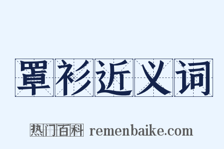 罩衫近义词是什么意思的图片